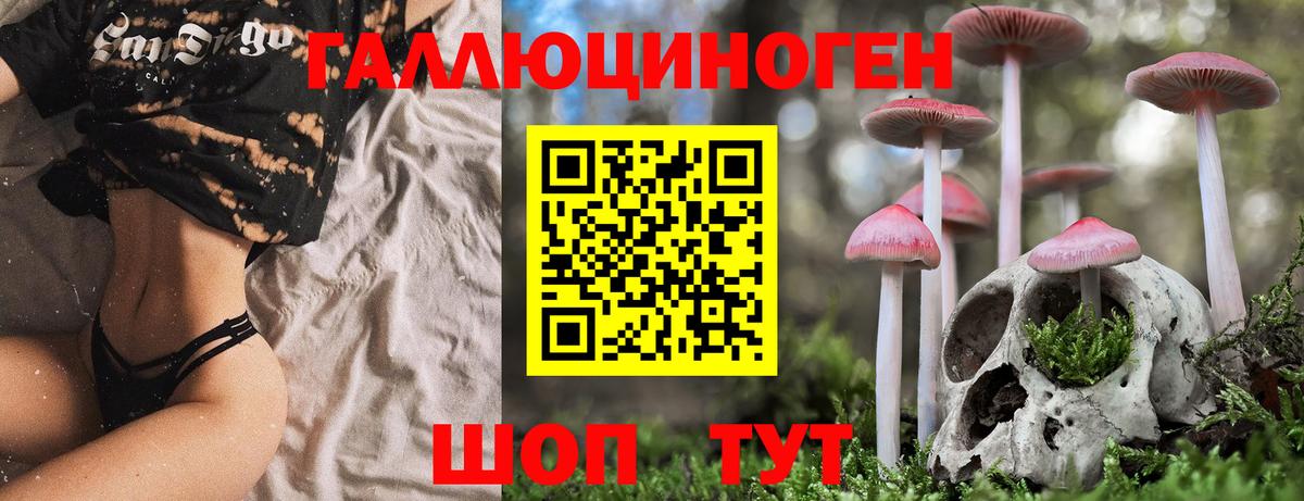 Галлюциногенные грибы мицелий  купить наркотик  Камышин  Галлюциногенные грибы прущие грибы  Вход с VPN 