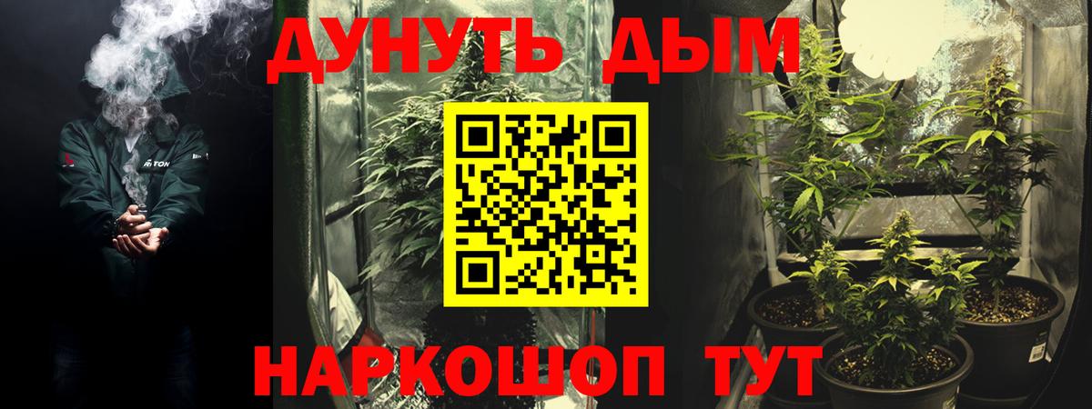 Шишки марихуана сатива Камышин